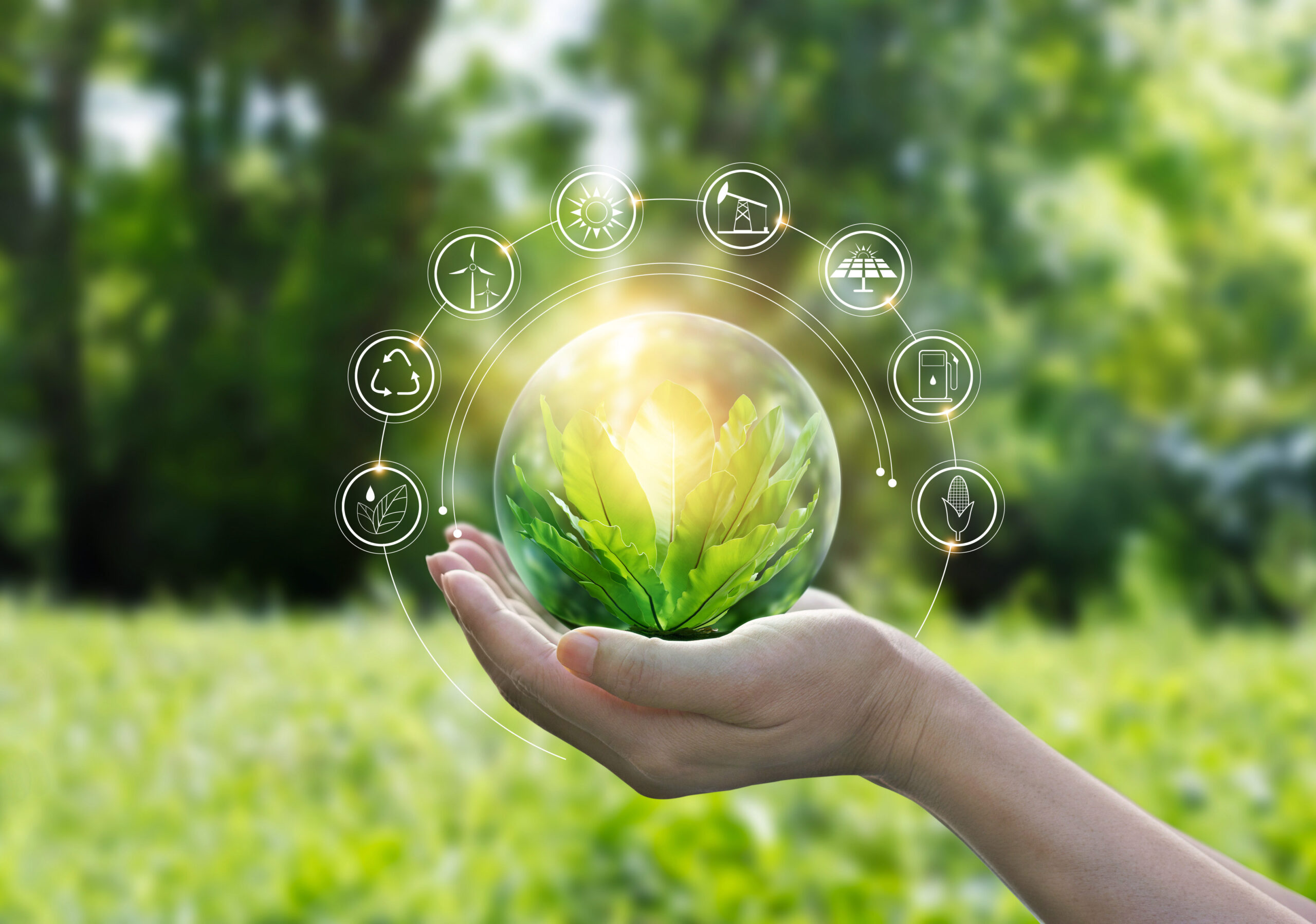Making an Ecologically Sustainable Business