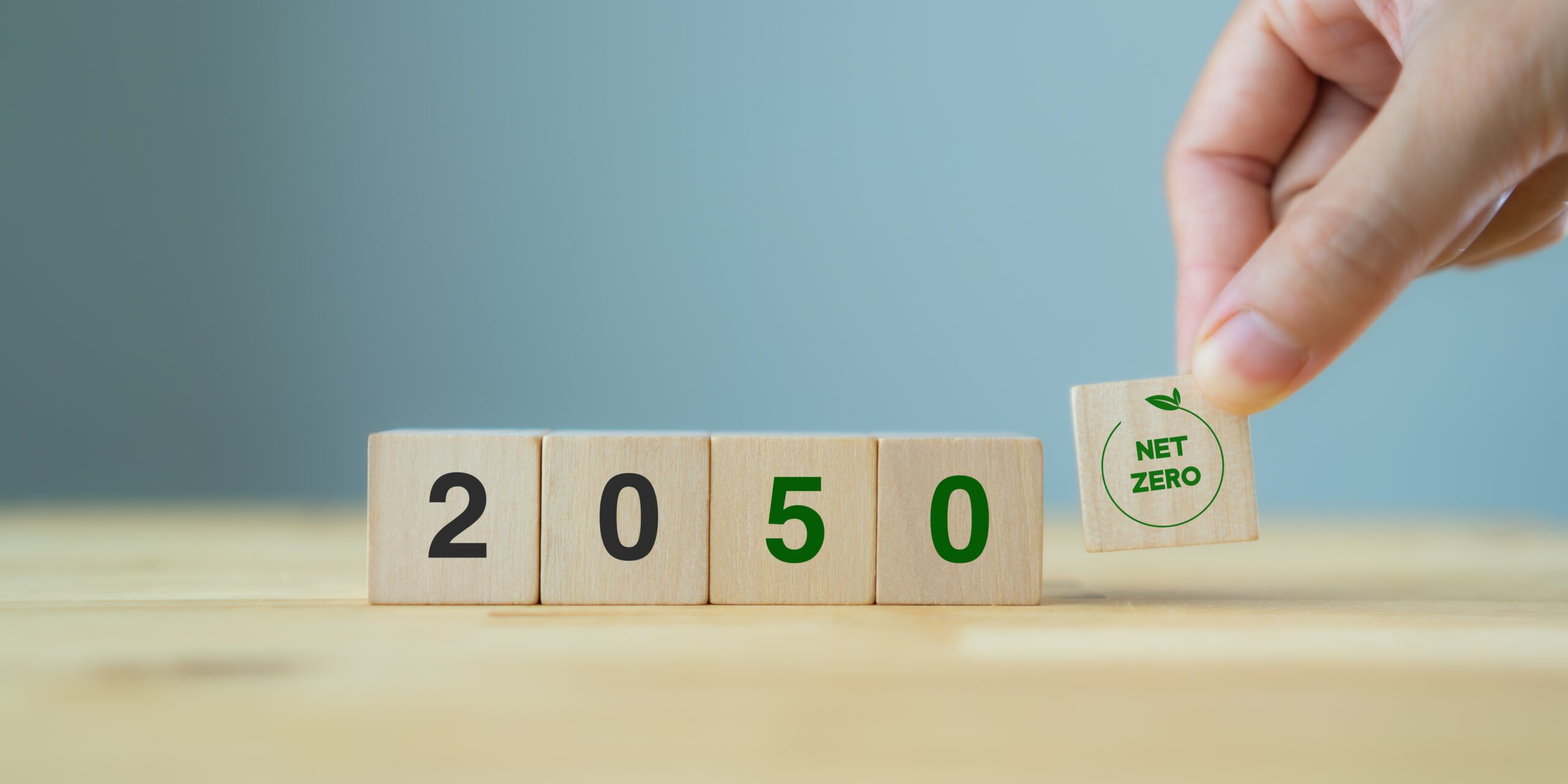 Sustainability Goals for the New Year